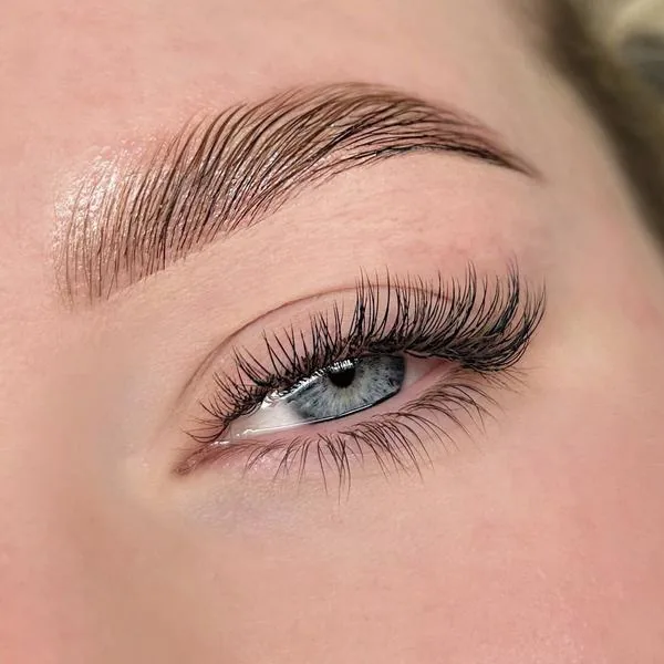 Light volume lash set with a rounded shape